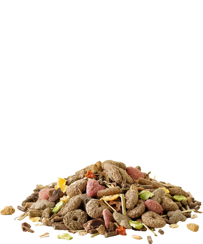 Корм для карликовых кроликов Versele-Laga Crispy Muesli Rabbit