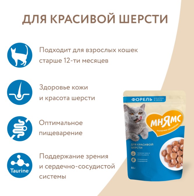 Влажный корм Мнямс Кусочки в соусе с форелью для красивой шерсти кошек