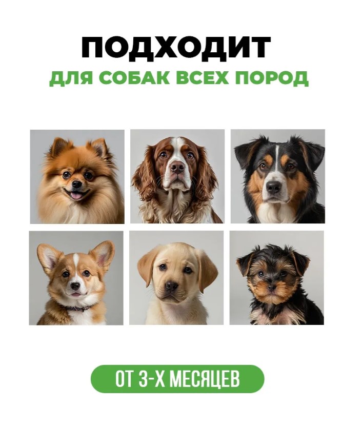 Шампунь для собак всех пород, с пантенолом "Spets"