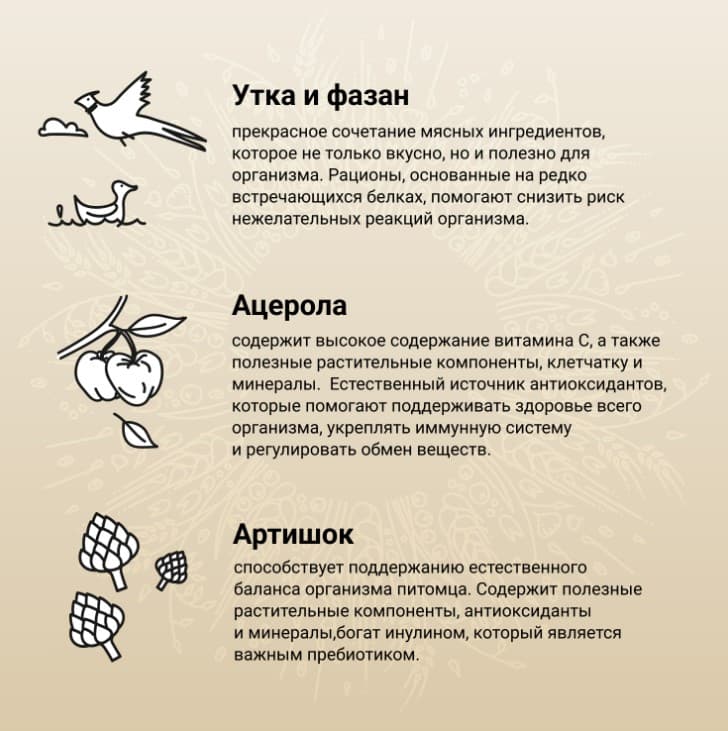Еда для собак CRAFTIA NATURA Adult Medium&Large (утка, фазан)