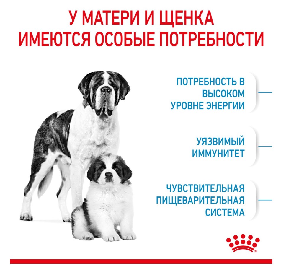 Каталог Сухой корм для щенков Royal Canin Giant Starter для собак