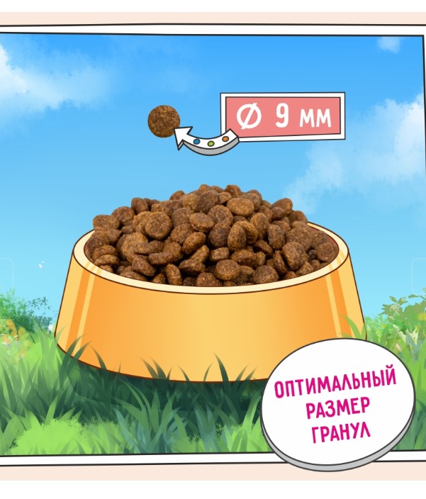 Каталог Сухой корм для собак мелких пород ZILLII Sensitive Digestion Small Adult Dog (белая рыба, лосось) для собак