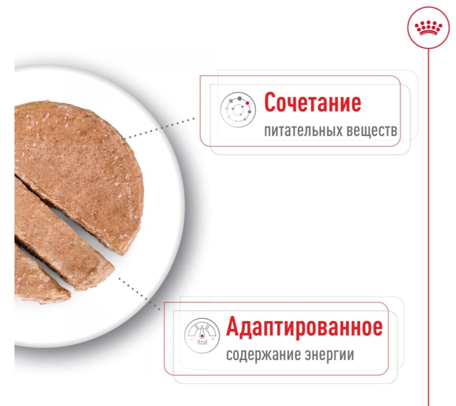 Влажный корм для собак Royal Canin Mini Ageing (паштет)