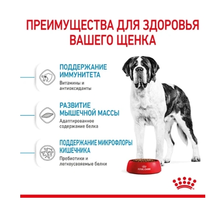 Каталог Сухой корм для щенков Royal Canin Giant Junior для собак