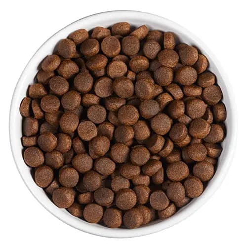 Еда для собак с ожирением Сухой корм для собак Ambrosia Grain Free Dog Adult Light (индейка, лосось)
