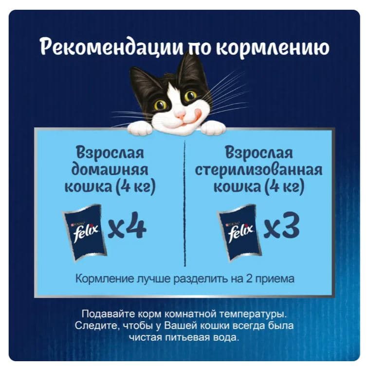 Влажный корм для кошек Felix Аппетитные кусочки (лосось в желе)