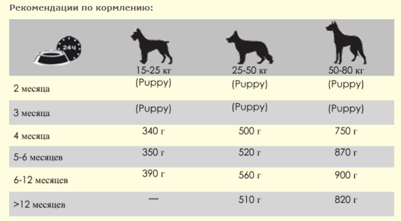 Сухой корм для щенков Belcando Junior Maxi 