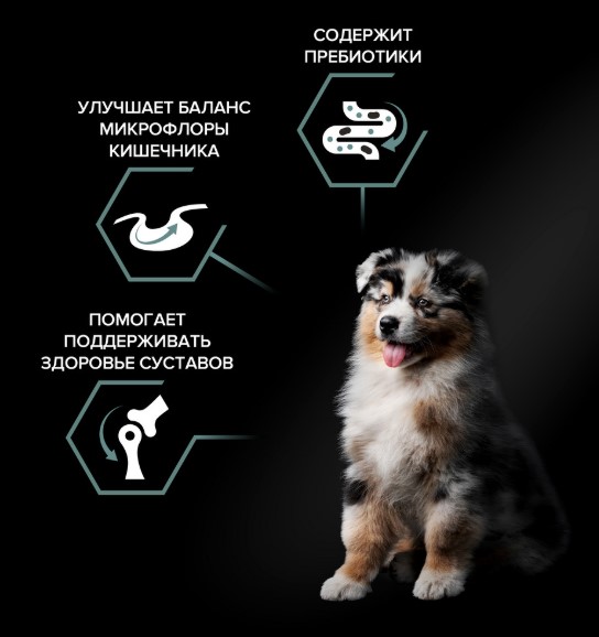 Каталог Сухой корм для щенков средних пород Pro Plan Sensitive Digestion Medium Puppy (ягненок) для собак