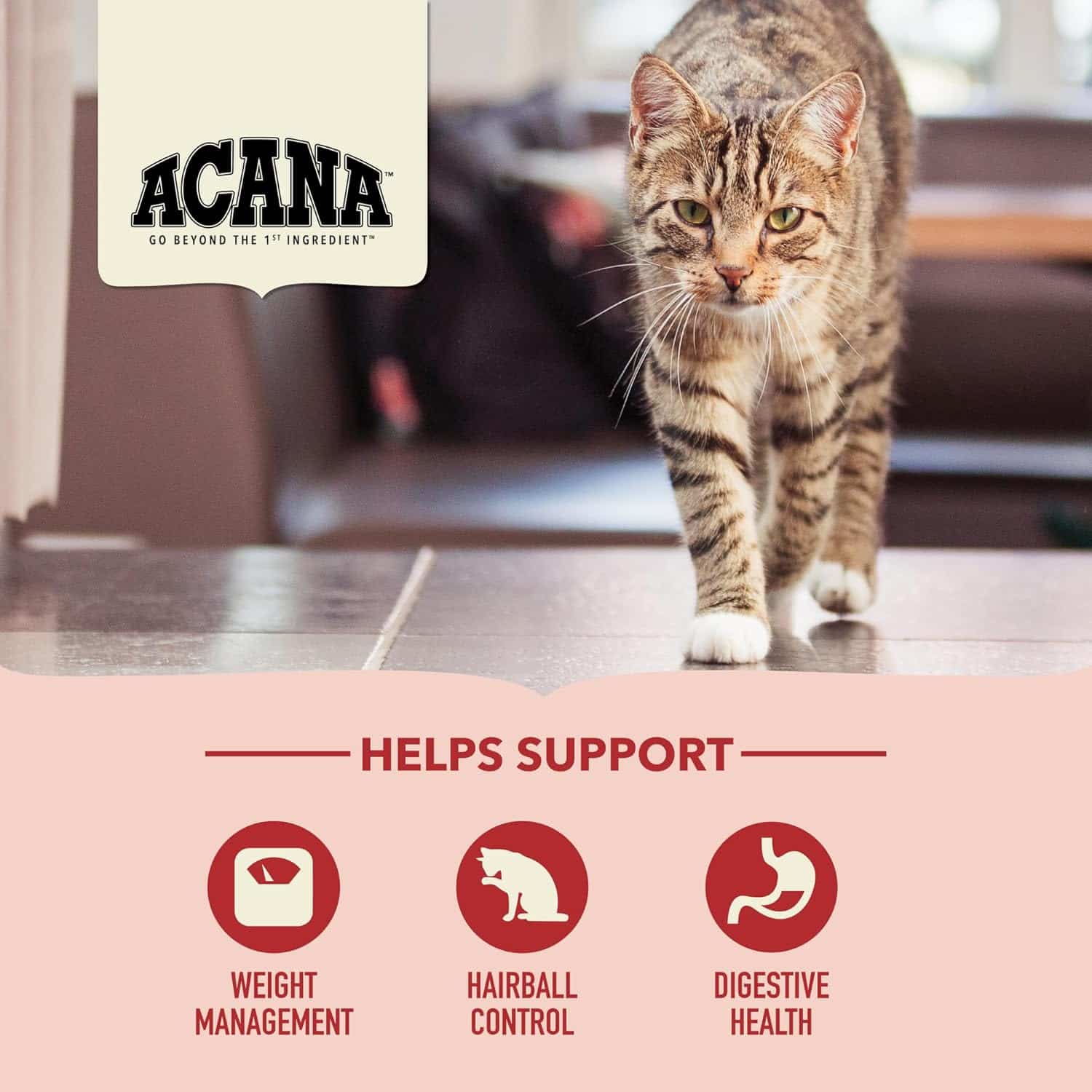 Сухой корм для кошек ACANA INDOOR ENTRÉE CAT