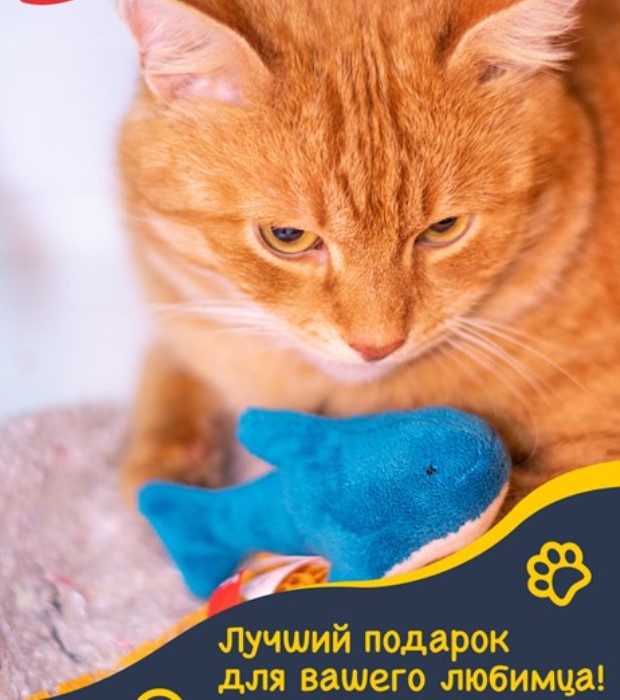Игрушка для кошек FANCY PETS Акула