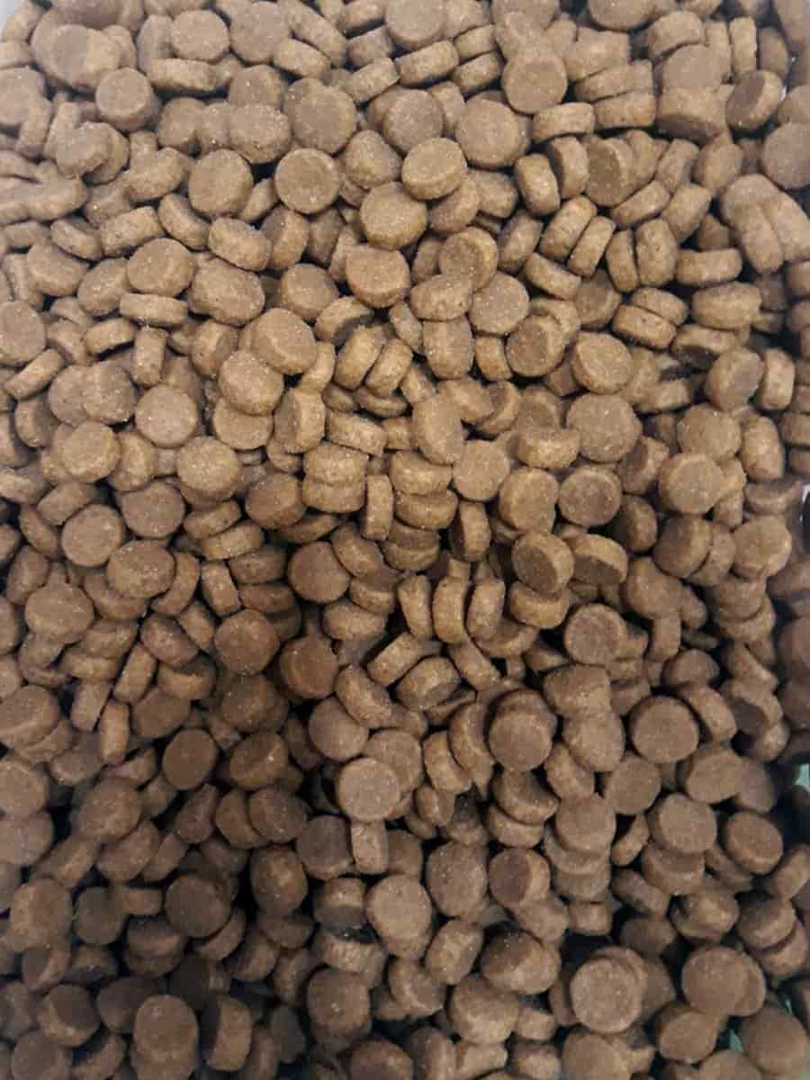 Сухой рацион для кошек Probalance Cat Adult Gourmet Diet Beef & Lamb (говядина, ягненок)