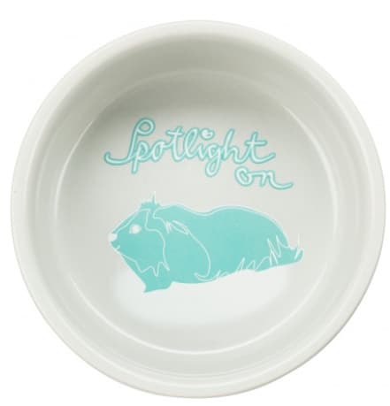 Миска керамическая для морских свинок 250 мл/диаметр 11 см TRIXIE (60738)