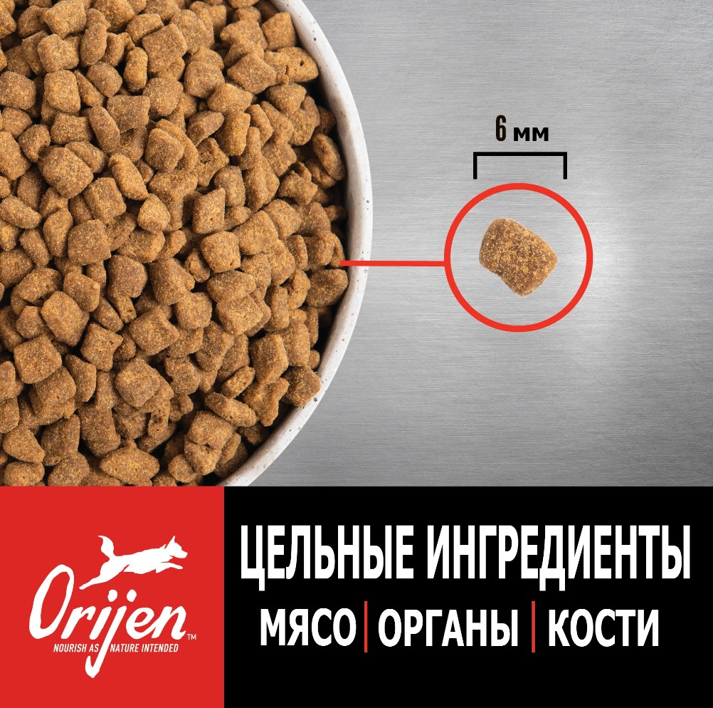 Каталог Сухой корм для щенков ORIJEN Puppy Small Breed Dog (курица) для собак