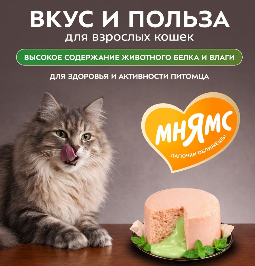 Влажный корм для кошек Мнямс Деликатес Фондан Adult Cat (курица, кошачья мята)