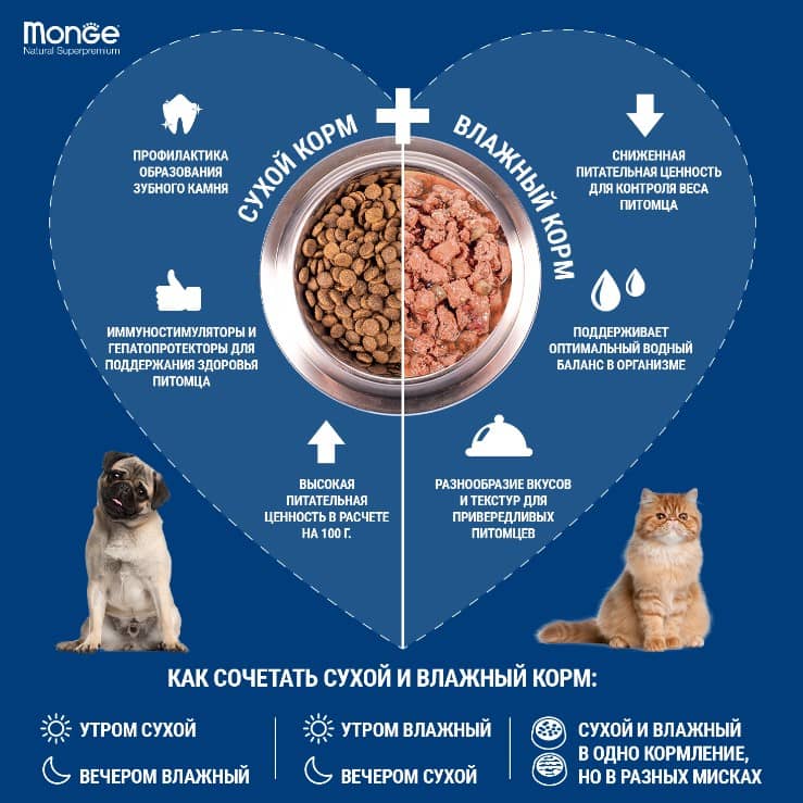 Рацион для кошек Monge Cat Monoprotein (мясные хлопья из курицы)