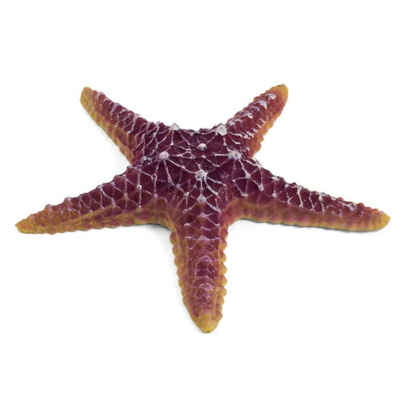 Грот для аквариума Laguna AQUA  "Морская звезда"