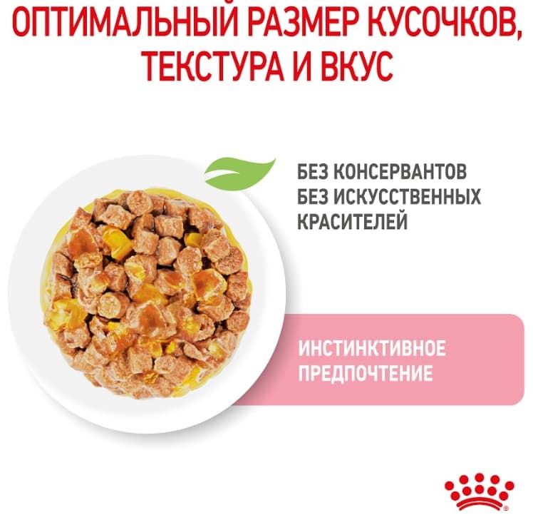 Влажный корм для котят Royal Canin Kitten Sterilized (в желе)