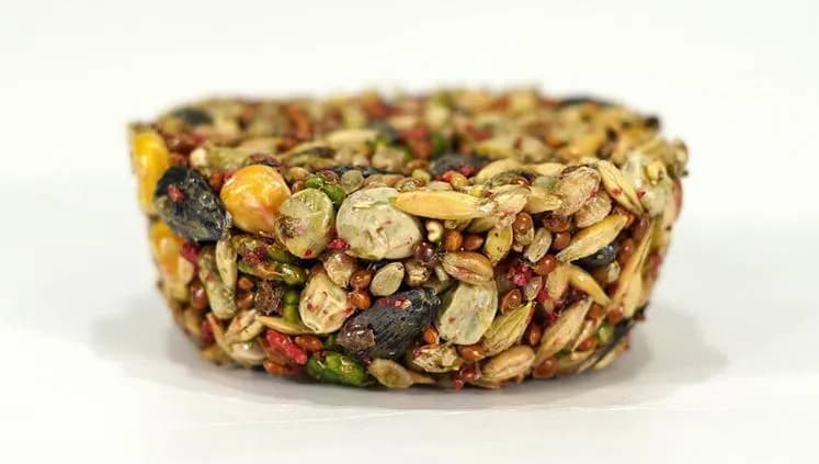 Лакомство для грызунов "Овощная корзинка"