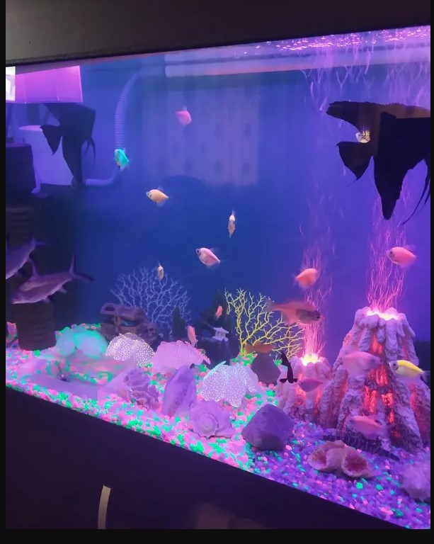 Гравий для аквариума GloFish 2.26 кг