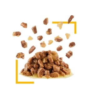 Консервированный корм для кошек Royal Canin Sensory Taste (желе)