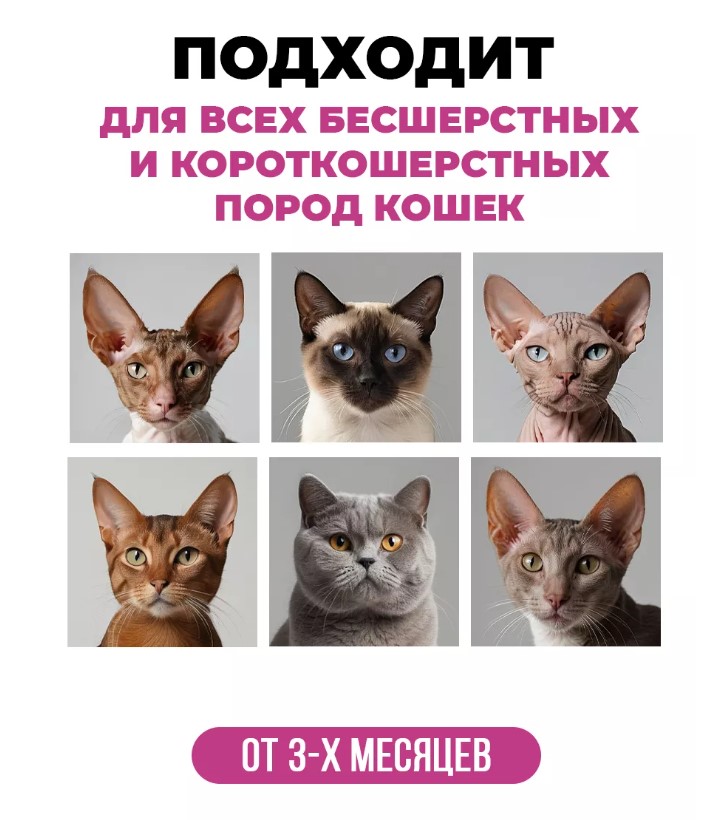 Шампунь для бесшерстных и короткошерстных кошек "Spets"  для кошек