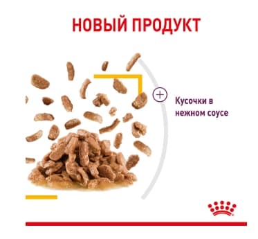 Консервированный корм для кошек Royal Canin Sensory Taste (соус)