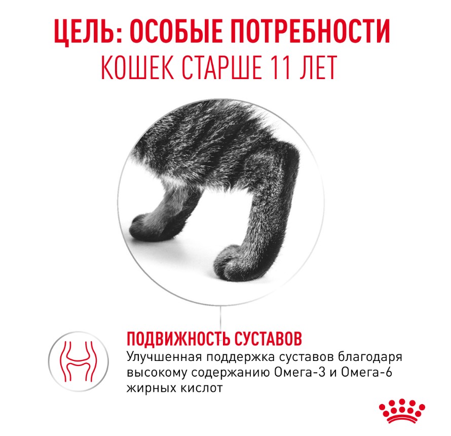 Сухой корм для пожилых кошек Royal Canin Ageing 11+