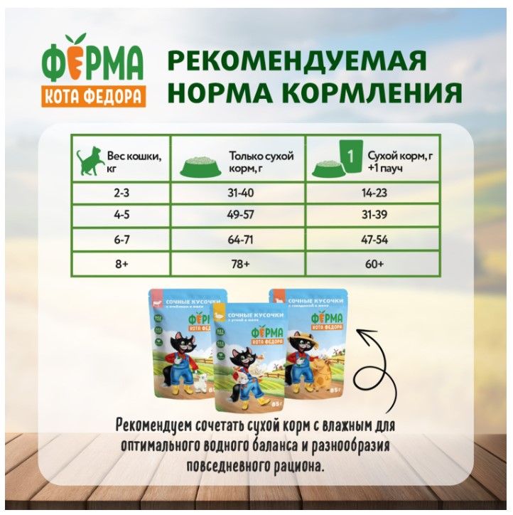 Сухой корм для взрослых кошек Ферма кота Федора с курицей