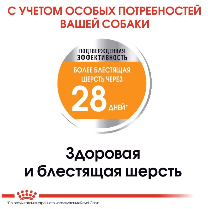 Каталог Сухой корм для собак Royal Canin Mini Coat Care для собак