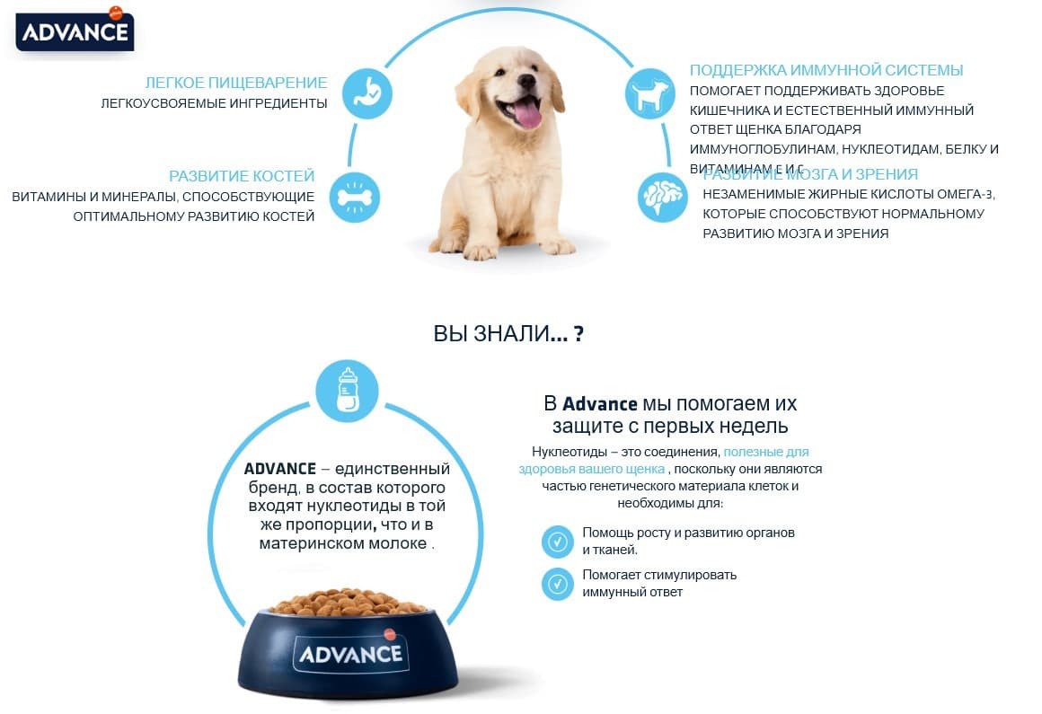 Еда для щенков крупных пород Сухой корм для щенков крупных пород Advance Dog Puppy Maxi (курица)