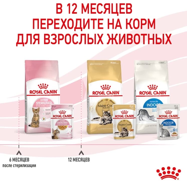 Влажный корм для котят Royal Canin Kitten Sterilized (в желе)