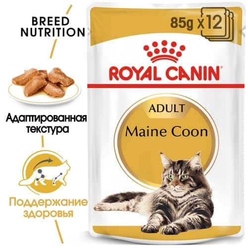 Влажный корм для кошек Royal Canin Maine Coon Adult (соус)