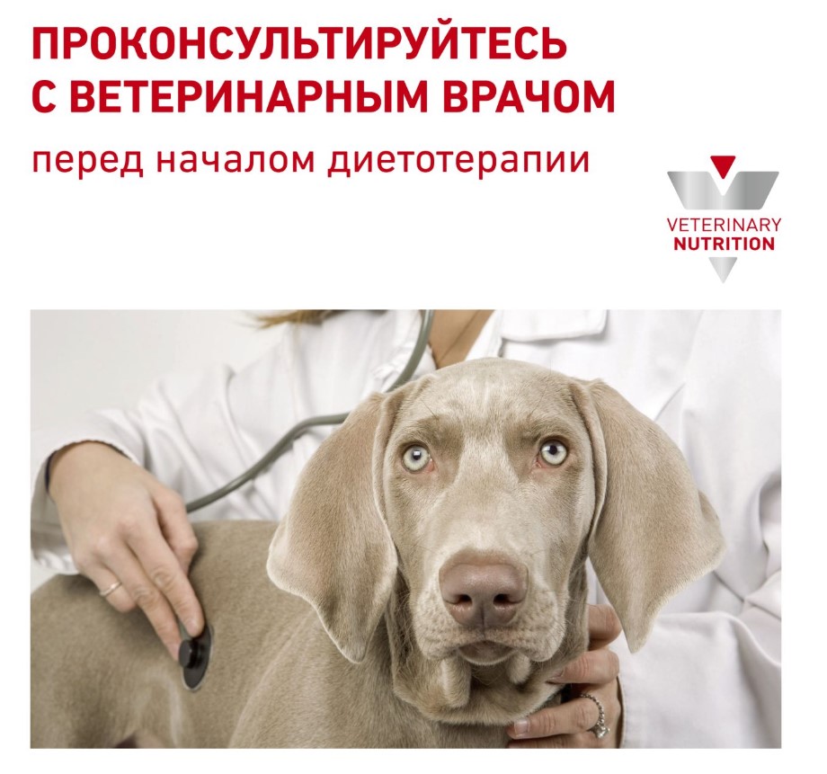 Каталог Сухой корм для собак Royal Canin Skintopic для собак