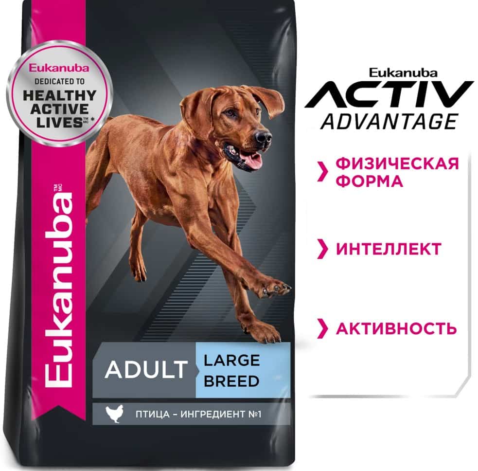 Питание для крупных пород собак Сухой корм для собак Eukanuba Adult Large Breed (птица)
