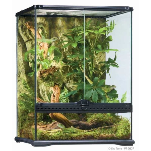 Террариум из силикатного стекла EXO TERRA PT2607 45х45х60 см (H226073)