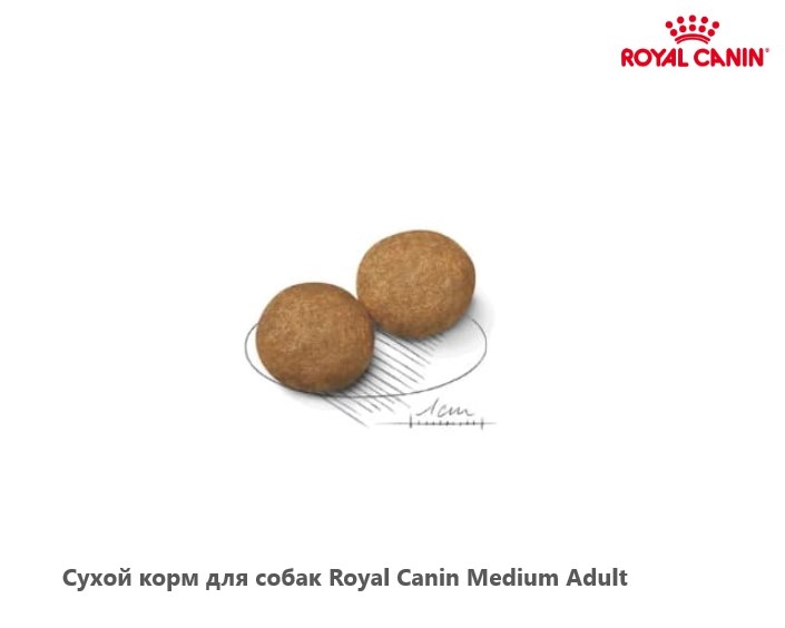 Каталог Сухой корм для собак Royal Canin Medium Adult для собак