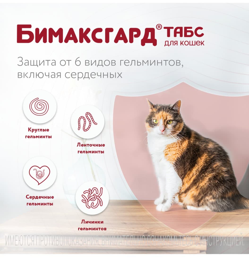 Антигельминтный препарат Бимаксгард ТАБС для котят и кошек мелких пород