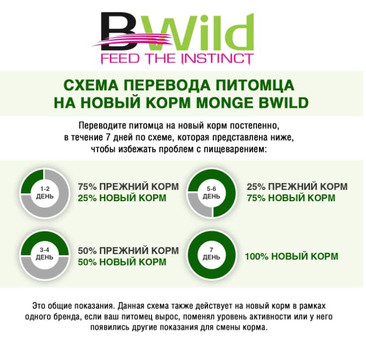 Повседневный корм для собак Monge Dog BWild GF Adult All Breeds (лосось)