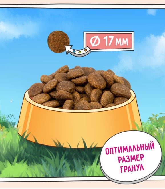 Каталог Сухой корм для собак ZILLII Sensitive Digestion Adult Dog (индейка) для собак