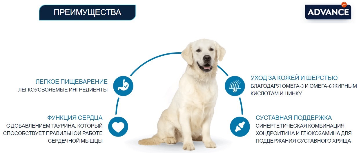 Еда для больших собак Сухой корм для собак крупных пород Advance Dog Adult Maxi (курица, рис)