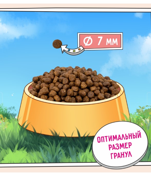 Сухой корм для котят ZILLII Kitten (индейка, ягненок)