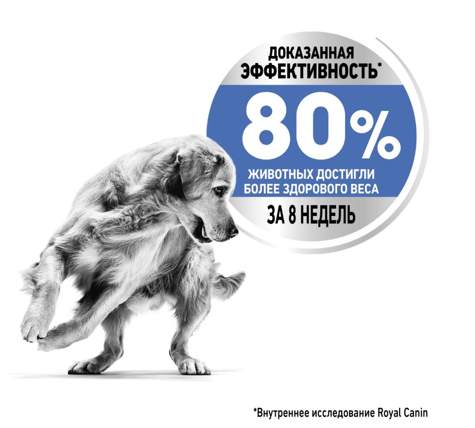 Каталог Сухой корм для собак Royal Canin Medium Light Weight Care для собак