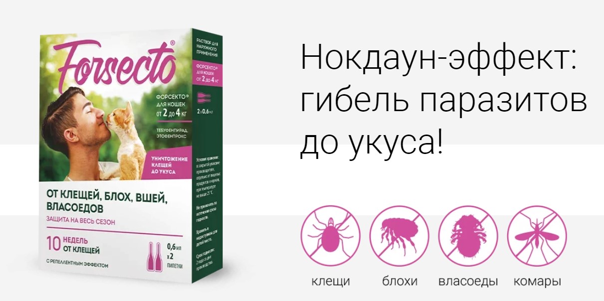 ФОРСЕКТО капли от внешних паразитов для кошек 