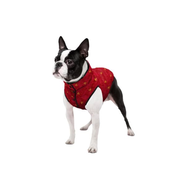 Одежда для собак WAUDOG "Superman red"