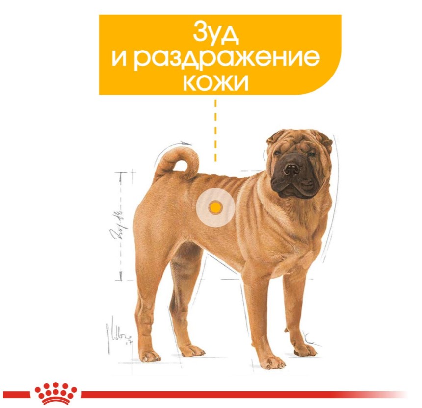 Каталог Сухой корм для собак Royal Canin Medium Dermacomfort для собак