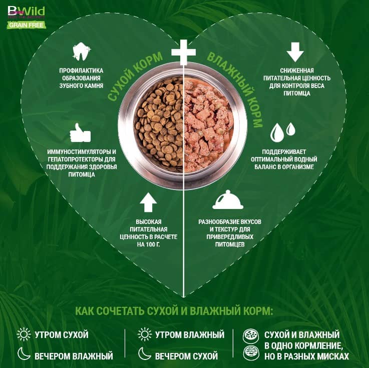 Консервированный корм для кошек Monge Cat BWild Sterilised Grain Free (лосось, креветки, овощи)