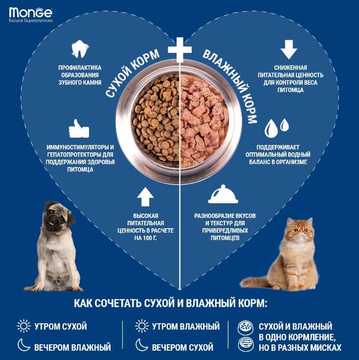 Пища для кошек Monge Cat Monoprotein (мясные хлопья из мяса буйвола)