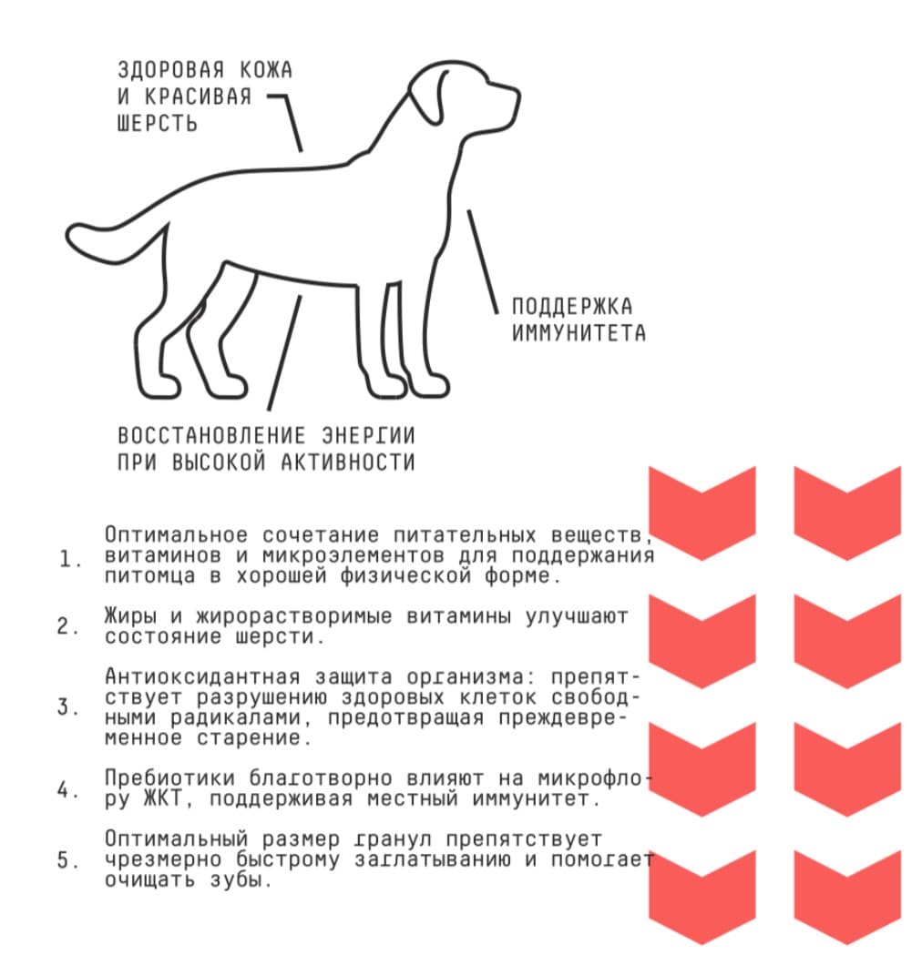 Каталог Сухой корм для собак средних AJO Basic Line Medium Adult Dog для собак