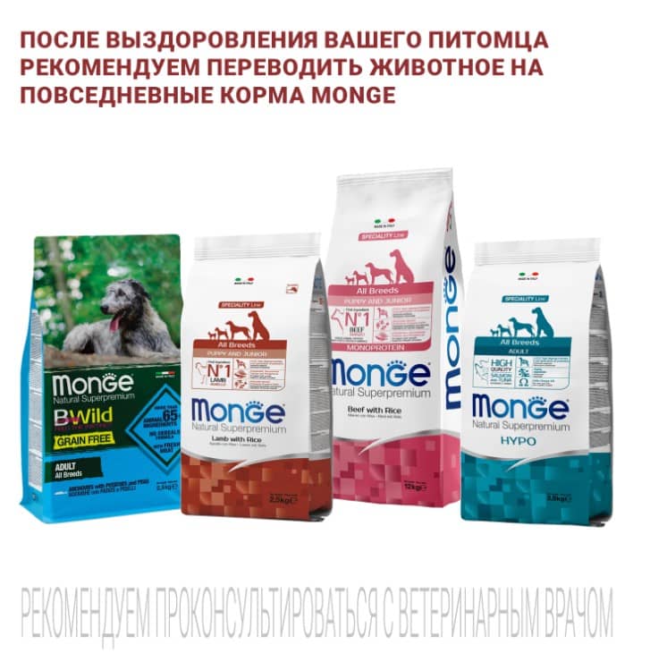 Диетический корм для собак Monge VetSolution Joint Mobility Dog для собак