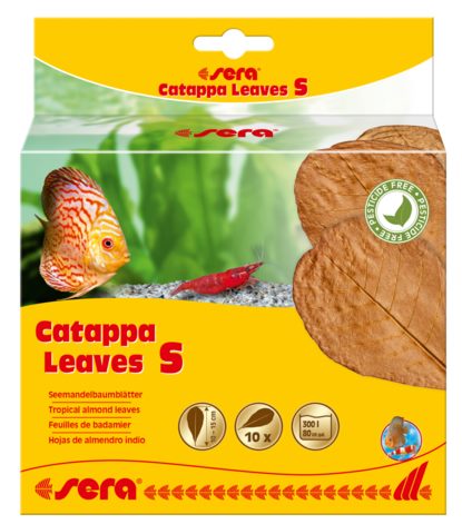 Листья индийского миндаля SERA Catappa Leave 10 шт